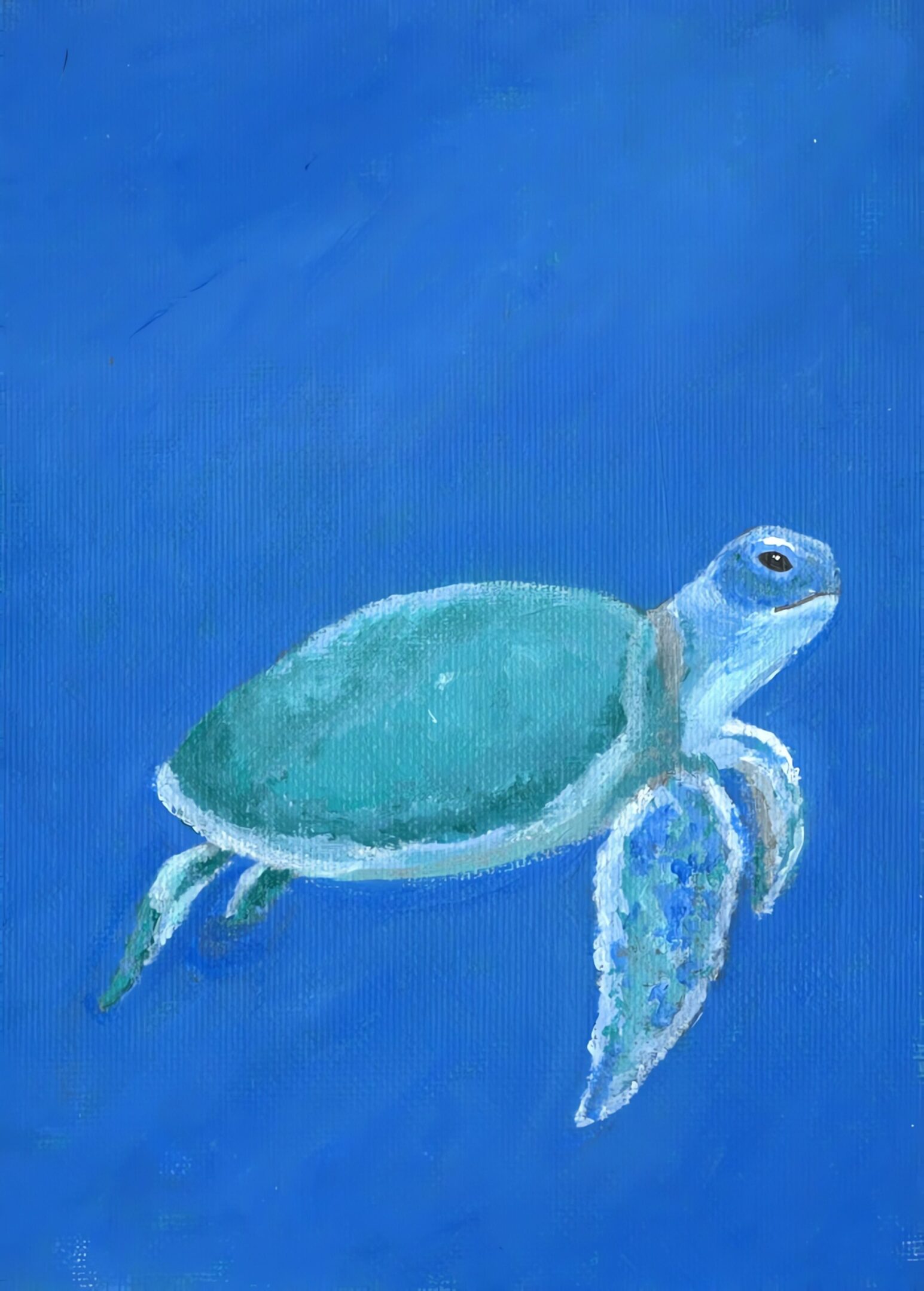 Painted sea turtle on blue background