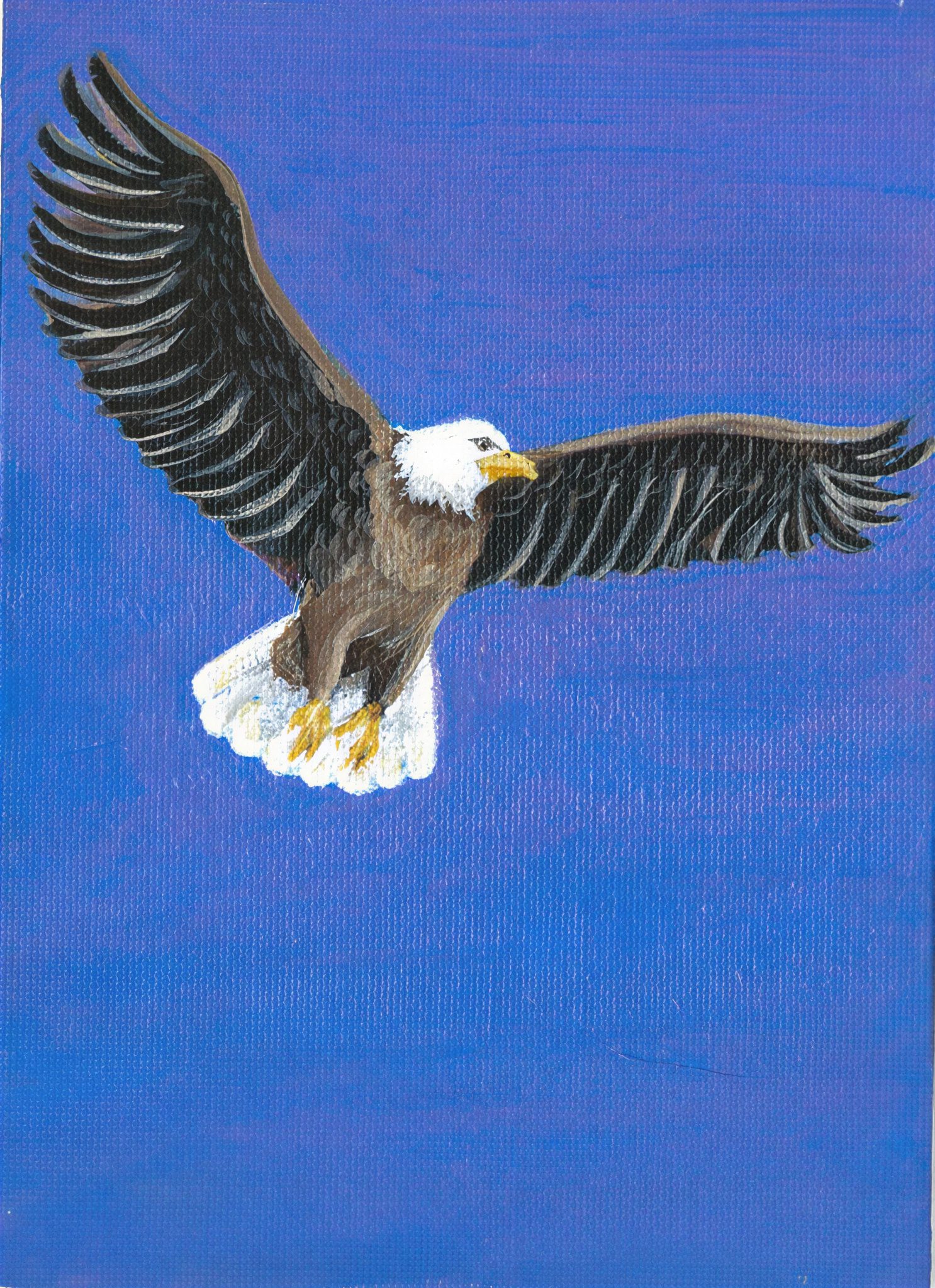 Majestic eagle with outstretched wings